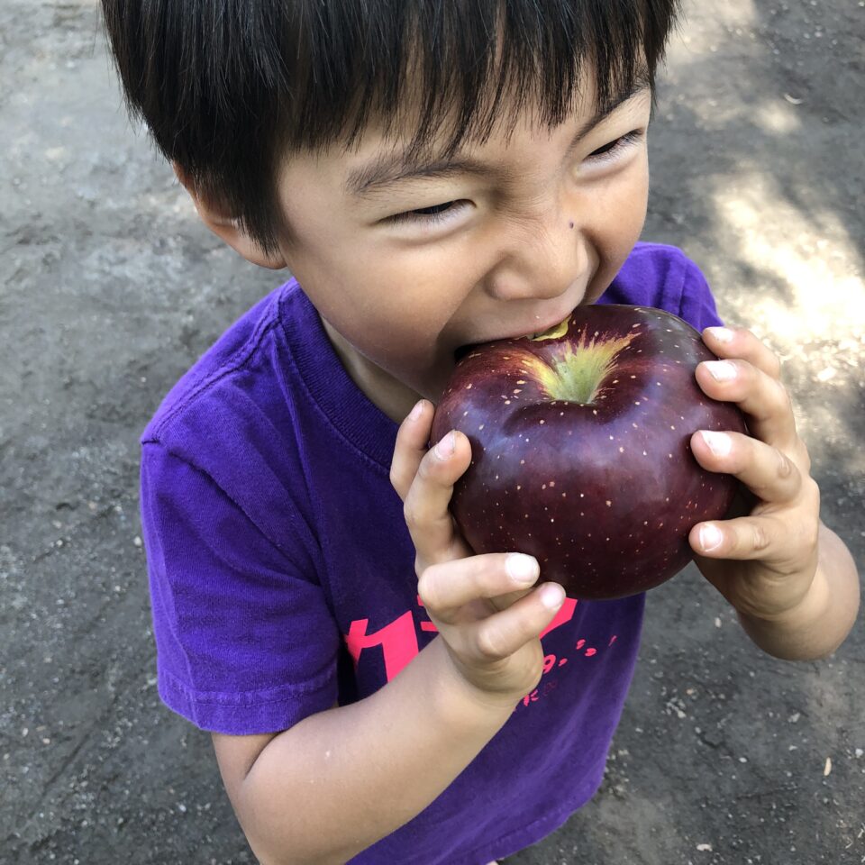 好き嫌いが多すぎる子ども|理学療法士が伝える!楽しくすくすく育つコツVol.43